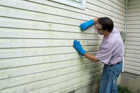 Best Siding Removal and Disposal  in Menifee, CA